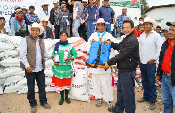 Entrega Antorcha 600 acciones de apoyos agropecuarios en Guajolota, Mezquital