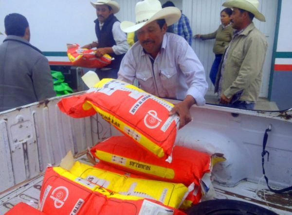 En Valle del Mezquital continúa entrega de semilla mejorada