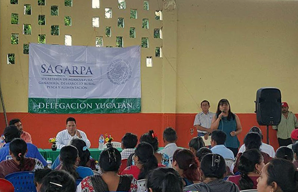 Entrega de fertilizante a productores antorchistas