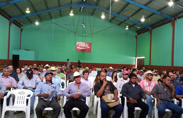 Toman iniciativas para incremento de producción de miel en Villa Hidalgo