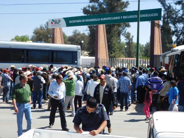 Campesinos potosinos en el abandono 