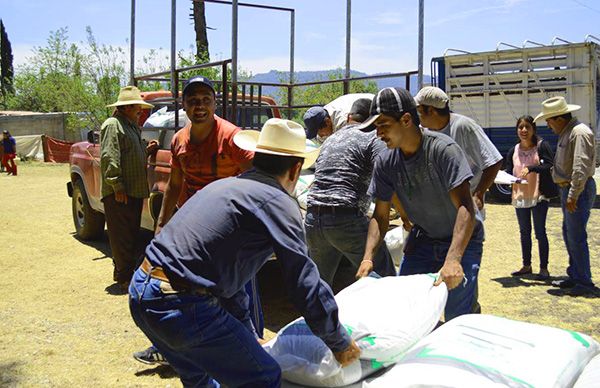 Antorcha entregará más de 400 toneladas de fertilizante subsidiado al 50 por ciento