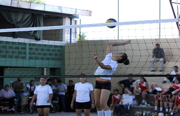 Prepara Puebla eliminatoria estatal de voleibol