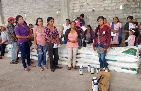  Miles de productores de Chilapa continúan recibiendo insumos agrícolas