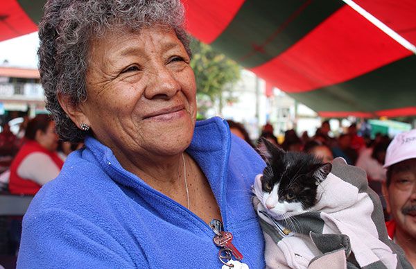   Rebasan meta de esterilizaciones en perros y gatos