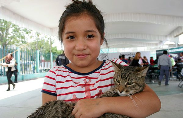  Refuerzan campaña de adopción de mascotas