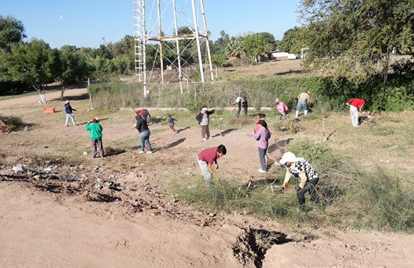 Pueblos del Sur de Sonora logran empleo temporal