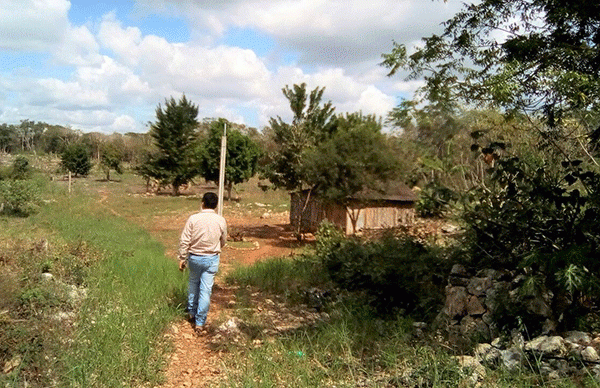 Gestionan electrificación para 11 localidades campechanas