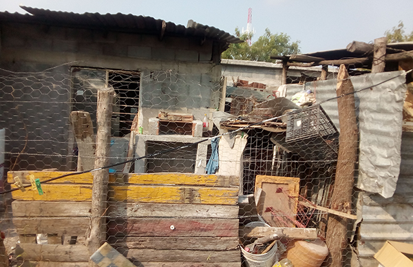 Colonos antorchistas reciben apoyos de vivienda 