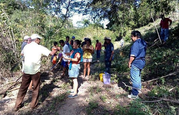 Realizan faena en área donde se construirán aulas de Telebachillerato en Valle del Río 