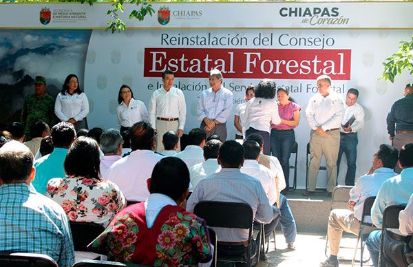 Unidos para salvaguardar las áreas verdes