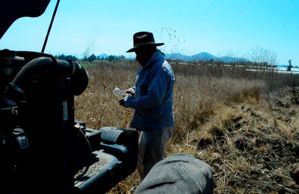 De no apoyar al sector agrícola podrían perderse miles de cultivos en el Edomex