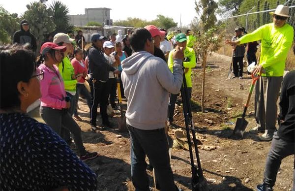Reforestan espacios en la colonia Unión Antorchista