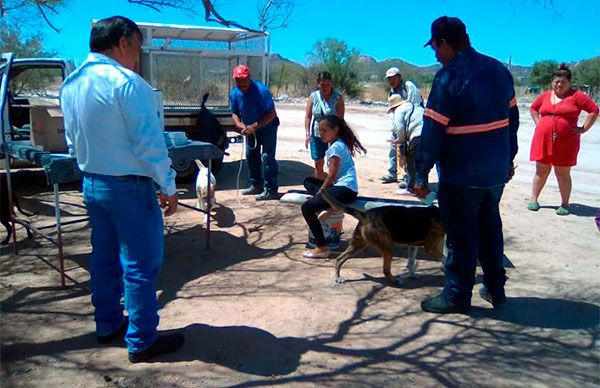 Jornada médica en la colonia Tres Reinas de Hermosillo