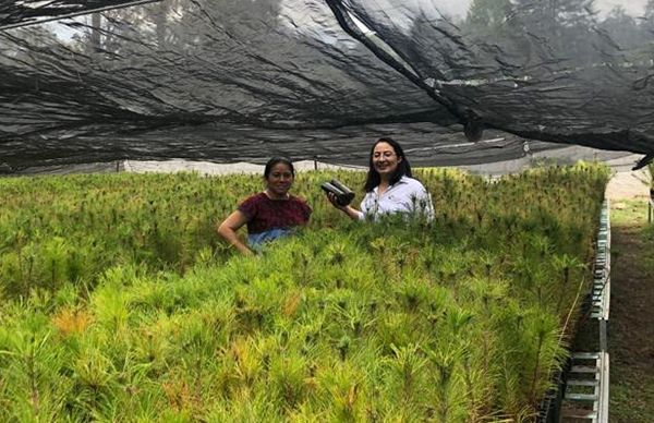 Rescatando el trabajo del campo chiapaneco