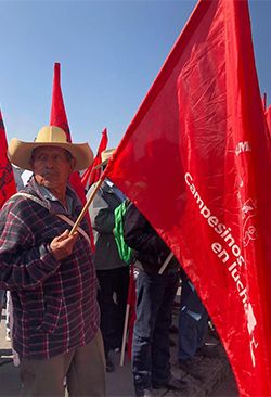 El que siembra vientos, cosecha tempestades