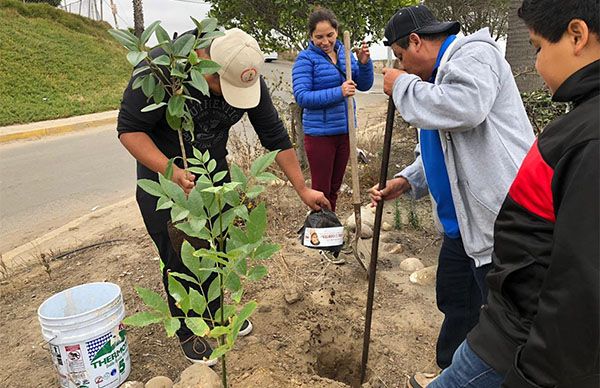 Limpian Tijuana con ayuda de ciudadanos