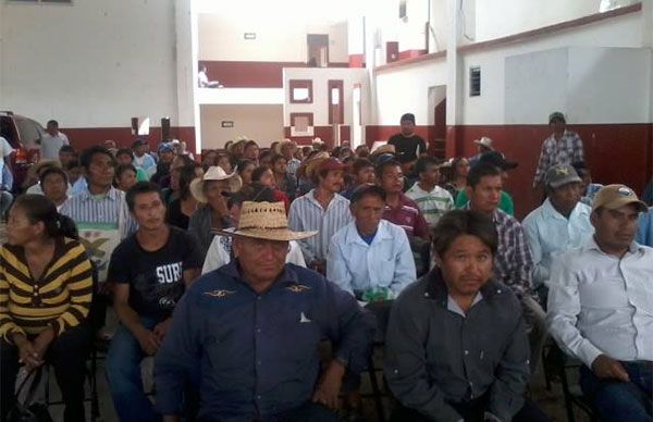 Aún no llega el fertilizante a campesinos de Chilpancingo, Chichihualco y Mochitlán