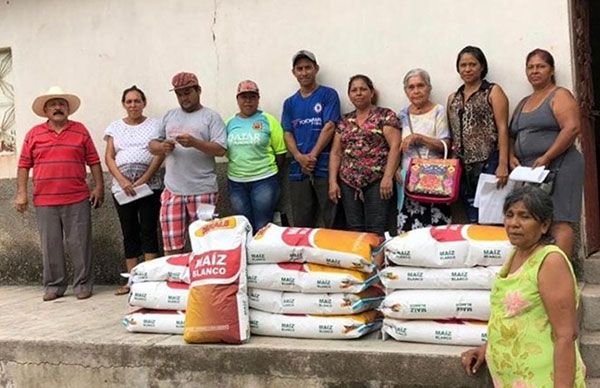 Entrega Antorcha semilla mejorada a campesinos de Tlalchapa