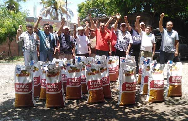 Campesinos guerrerenses se benefician con semilla mejorada