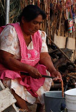  Oaxaca se hunde en la pobreza, la solución, ¿los actuales gobernantes o el pueblo organizado?