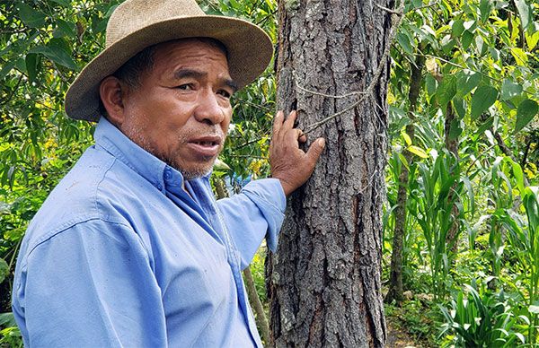 Políticas agrícolas del nuevo gobierno, afectan a campesinos y pequeños productores de Chiapas