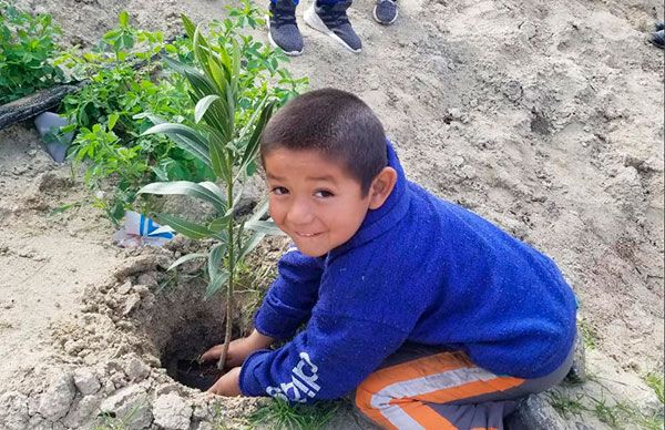 Reforestan antorchistas en colonia Praderas 