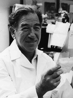 El arma de los gobernantes, pánico moral 