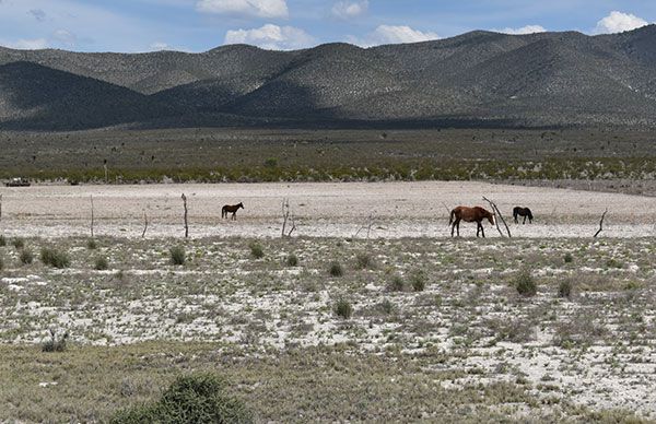 Urgen campesinos de Nuevo León agua para cultivos 