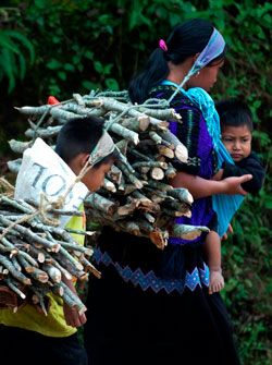 En los tiempos difíciles, se comprueba que sólo los pobres salvarán a los pobres