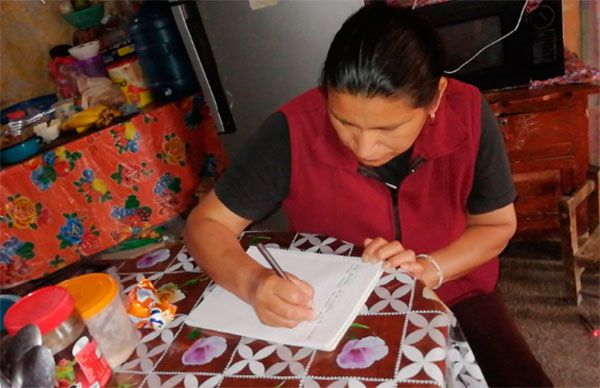 Con cartas a AMLO, exigen apoyos