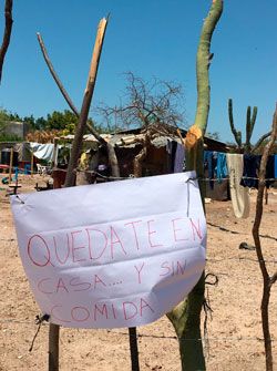 La verdadera pandemia en Mexquitic