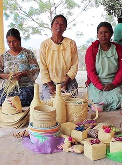 Oaxaqueños sin alimentos ni producción del campo en plena crisis