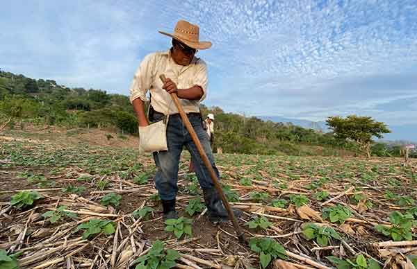 Antorcha me ha enseñado a luchar: campesino chiapaneco