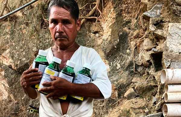 Campesinos indígenas de Ometepec se benefician con insumos agrícolas