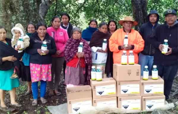 Impulsa Antorcha a pequeños productores de maíz de Tixtla