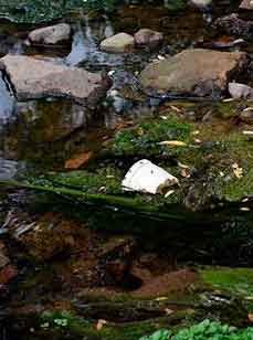 Gestión de obra de agua, producto de la lucha antorchista