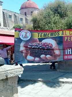 La necesidad de la organización campesina