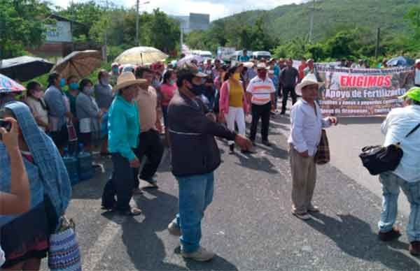 Campesinos guerrerenses demandan fertilizante