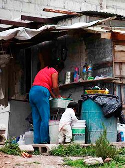 Covid-19, dengue y malos gobernantes, todos dañinos