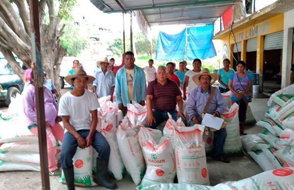 Logran fertilizante para campesinos de El Troncón, Tixtla 