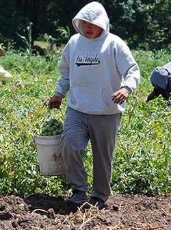 Urge el apoyo al campo