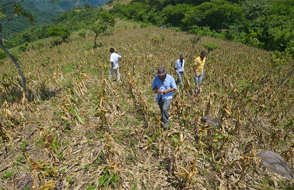 AMLO ignora a campesinos tamaulipecos