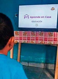 La educación, rehén de las televisoras