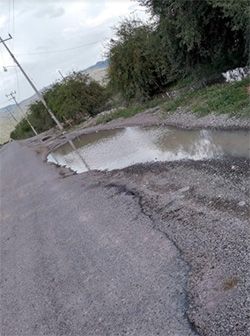 En Guadalcázar, Pancho hace panchos y se hace ganso