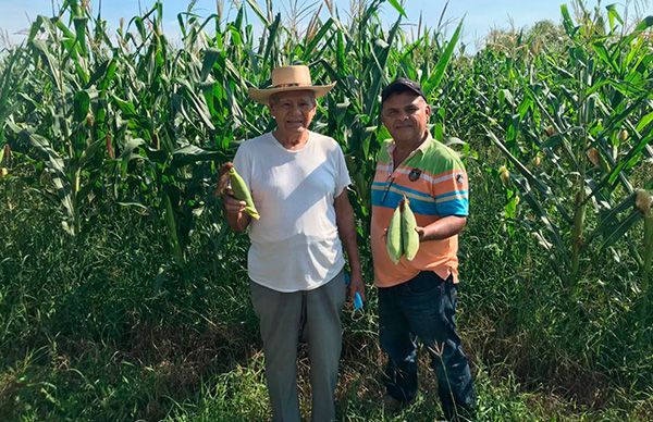 Lucha de campesinos de Arcelia rinde sus primeros frutos