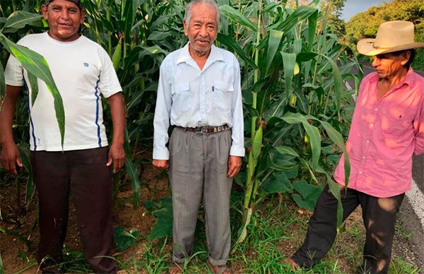 Agradecen campesinos de Tecoanapa respaldo de Antorcha