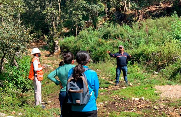 Evalúa CFE proyecto de ampliación en San Cristóbal de las Casas 