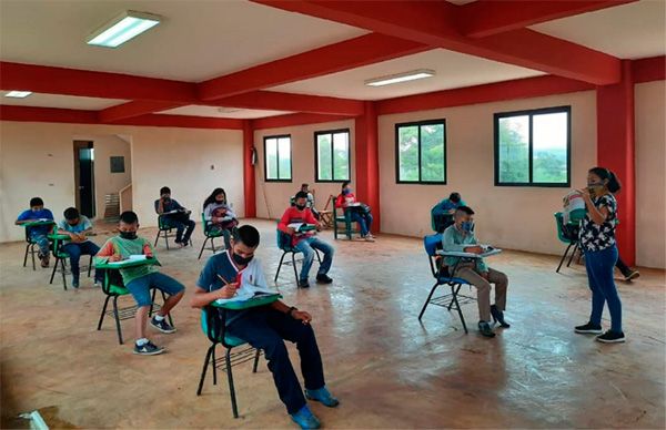 Cultivan estudiantes hortalizas para paliar pobreza en hogares 