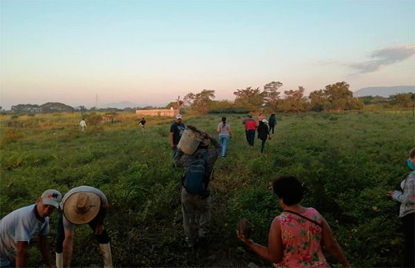 Antorchistas realizan faena en futura colonia